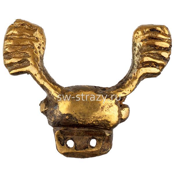 Жук майский голова (3-001)