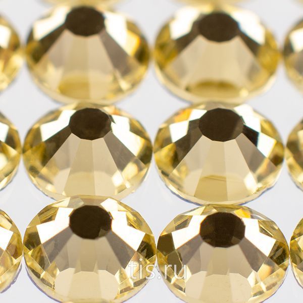 C28 ss20 Jonquil K9 HF