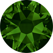 2058 ss 5 Dark Moss Green F