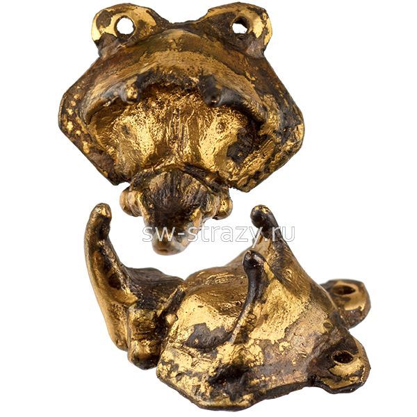 Жук-носорог голова (3-003)